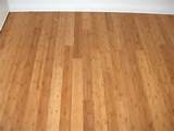 Bamboo Floors Moisture Pictures