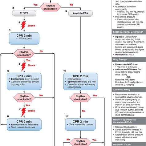 Adult Cardiac Arrest Algorithm Aha 2018 Update Abbreviations Cpr Download Scientific Diagram