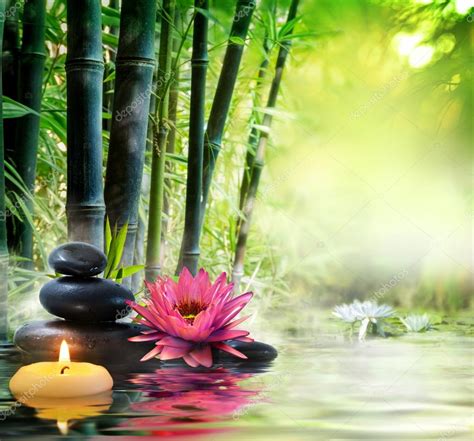 Massage In Nature Lily Stones Bamboo Zen Concept Stock Photo By