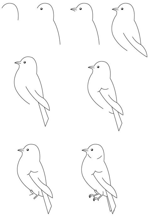 How To Draw A Bird Step By Step Easy Drawing Lesson F