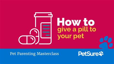 How to give a pill to your pet | PetSure