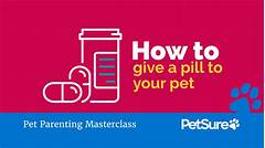 Petco Vaccine Revelation The Easiest Way To Protect Your Pet At Rock Bottom Prices