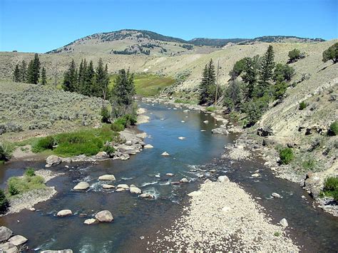 Fly Fishing The Lamar River In Yellowstone National Park Info And Photos