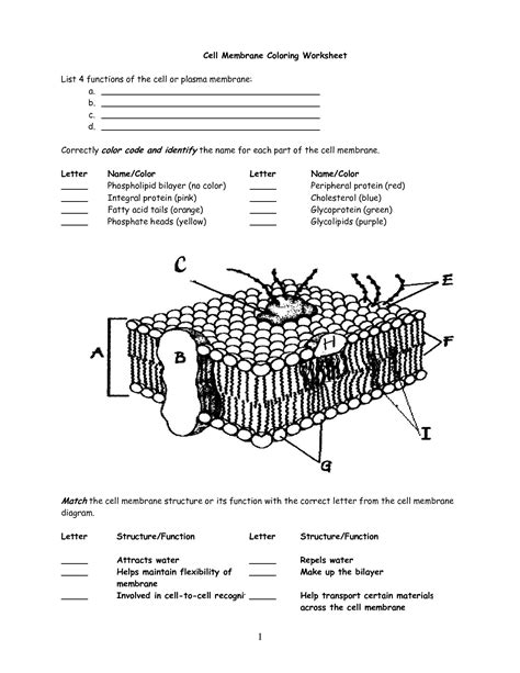 Https://favs.pics/worksheet/cell Membrane Images Worksheet