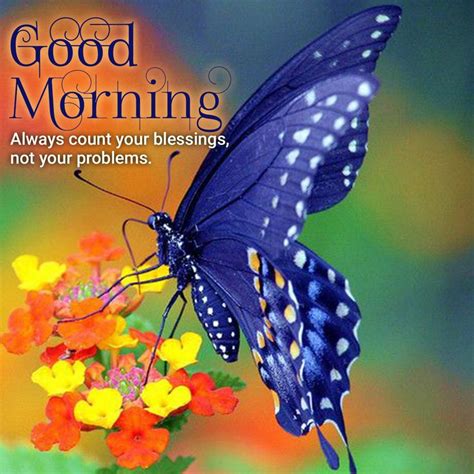 Download Beautiful Good Morning Quotes Images Beautiful Butterflies