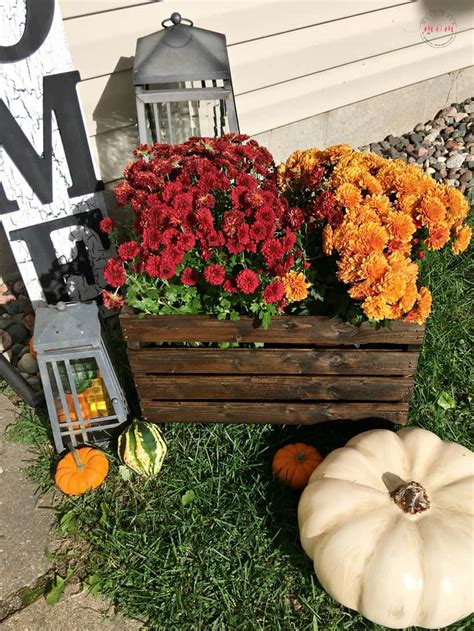 Diy Fall Planter Idea For Mums Must Have Mom