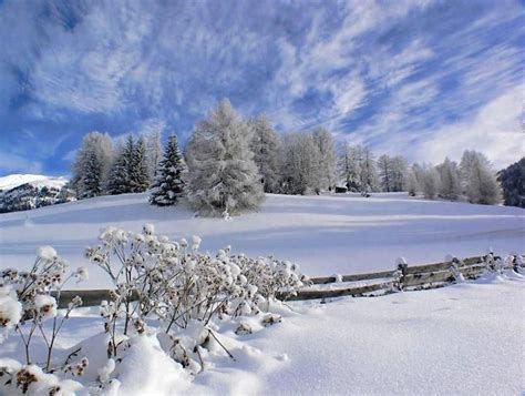 Beautiful Snow Scenes ~ Christmas Winter Wonderland Pinterest