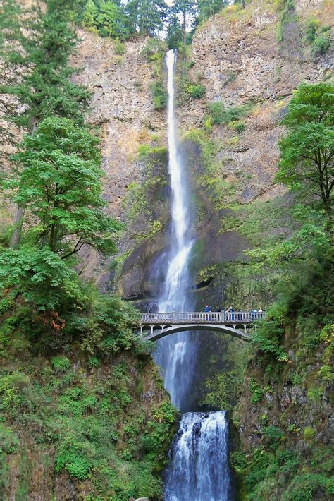 Multnomah Falls And Benson Bridge In Oregon Multnomah Falls Flickr