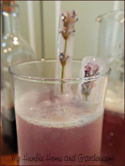 How To Make Sparkling Lavender Lemonade My Humble Home And Garden