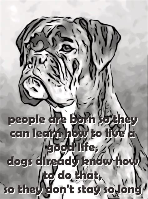Boxer Dog Quote Memorial Poem Boxer Dog Quotes Boxer Dogs Boxers
