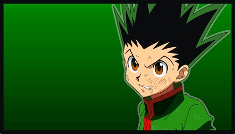 Wallpaper 12 Gon Hxh2011 By Gaston Gaston On Deviantart