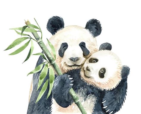 Watercolor Mom And Baby Panda With Bamboo 669932 Vector Art At Vecteezy