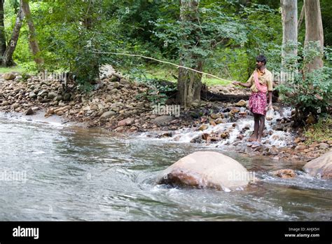 Muthuvan Tribal Fishing In Wild Stream In The Chinnar Wildlife