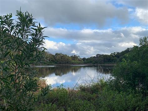 Tower Hill Wildlife Reserve Warrnambool 2019 What To Know Before