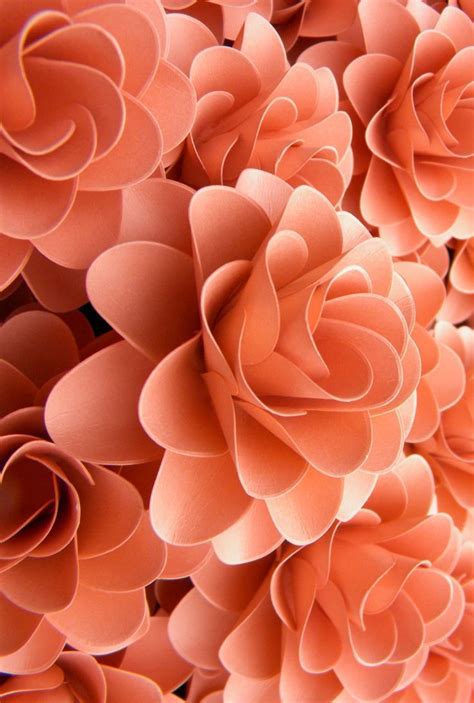 Coral is a color that denotes success and good luck. It is a symbol of