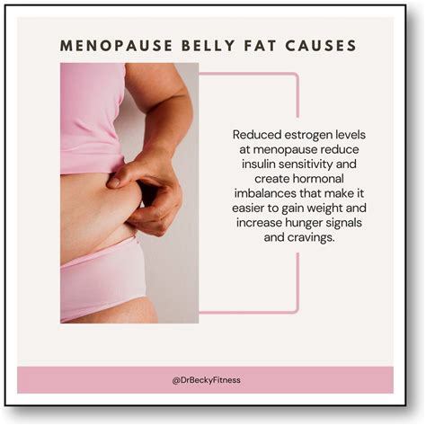 Menopause Belly Fat Is Real But Not Your Reality With These Things Dr Becky Fitness