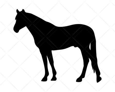 Download Horse 3 SVG Cut Files for Cricut and Silhouette | Scotties ...