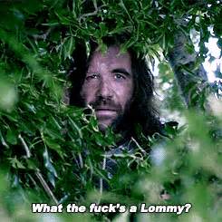 Share the best gifs now >>>. Favorite Sandor Clegane Quotes? | Thrones Amino