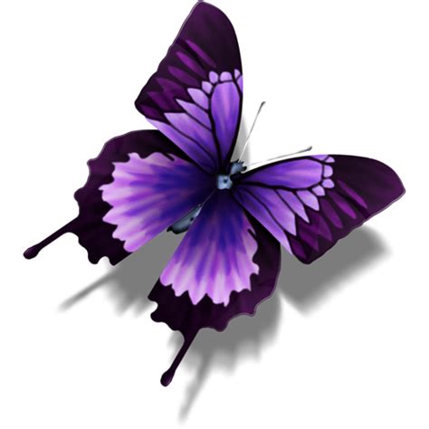 Butterfly Icon Transparent Butterflypng Images And Vector Freeiconspng