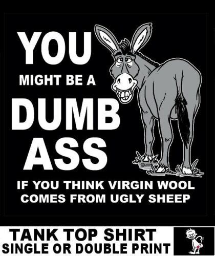 You Might Be A Dumb Ass If You Think Virgin Wool Comes From Ugly Sheep