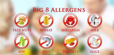 Big 8 Allergens Tree Nuts Allergens Peanut Big