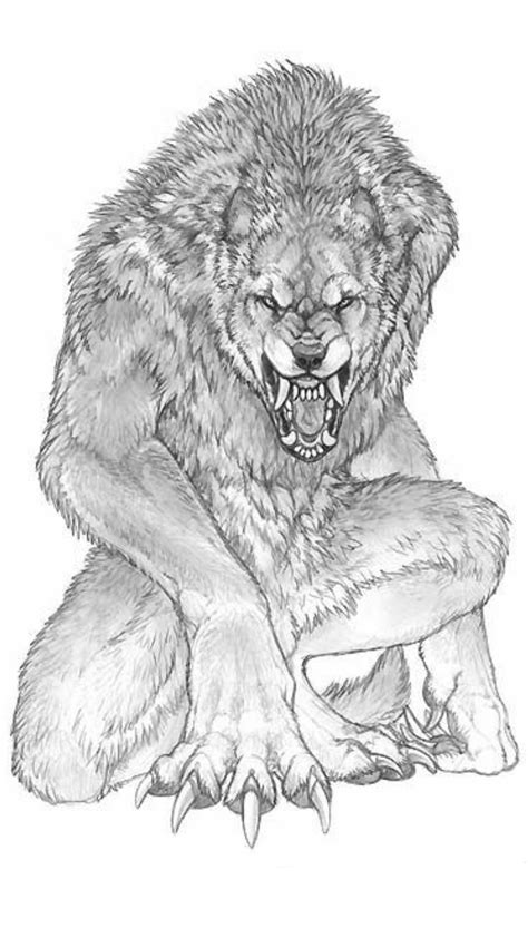 Werewolf Drawing Drawings Art Gambaran