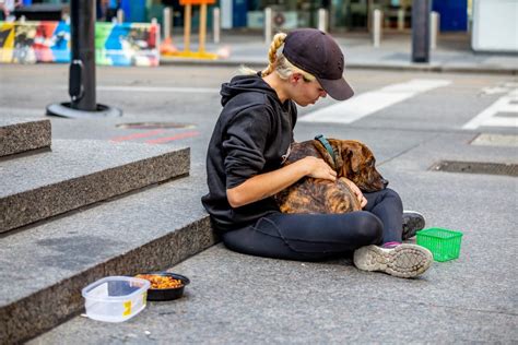 A Homeless Dogs Support Brings Hope To Its Owners Pleas For Help