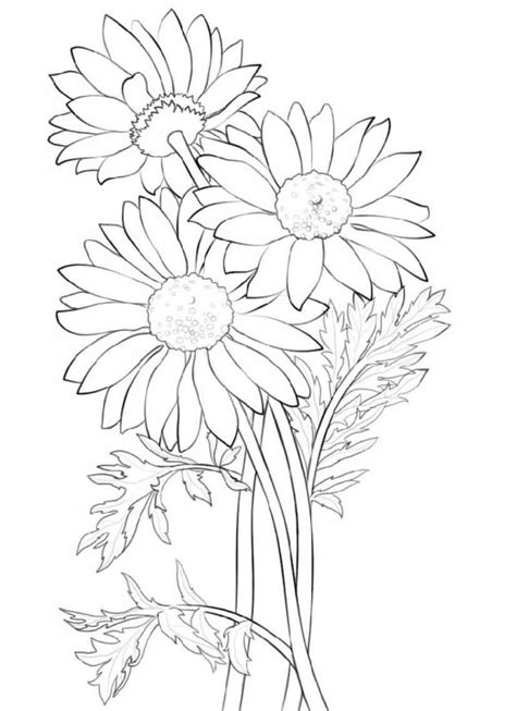 Flower Coloring Daisy K5 Worksheets