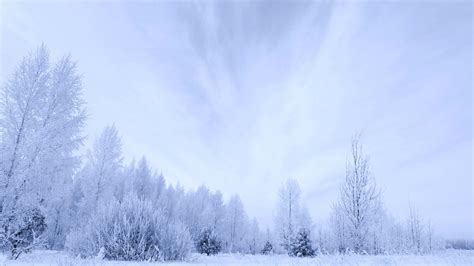 White Winter Trees Snow Sky Clouds Forest