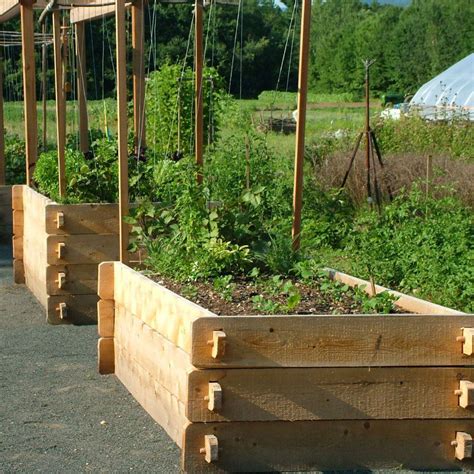 41 Large Backyard Ideas Raised Beds Raised Garden Sloped Garden