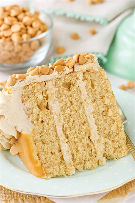 Maybe you would like to learn more about one of these? Peanut Butter Layer Cake | MUST TRY Peanut Butter Dessert ...