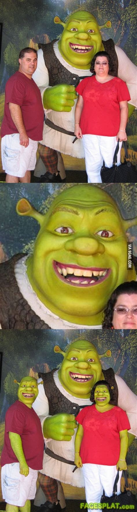 Funny Shrek Memes Face Bhe