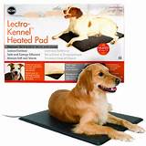 Electric Cooling Beds For Dogs