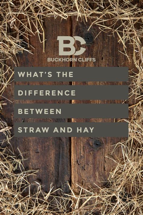 Difference Between Straw And Hay