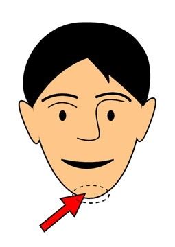Chin clipart, Chin Transparent FREE for download on WebStockReview 2022