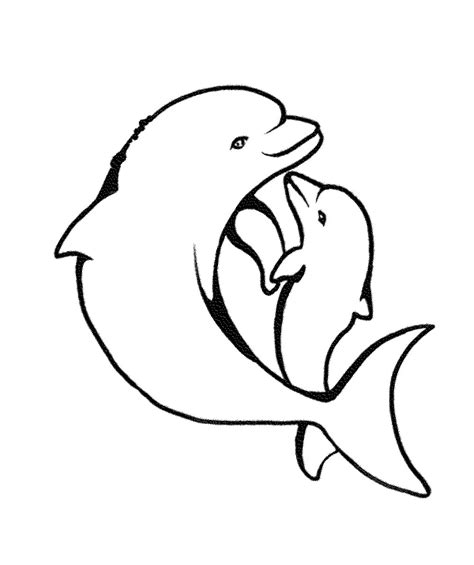 Print And Download My Experience Of Making Dolphin Coloring Pages