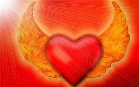 Loving Heart Free Stock Photo Public Domain Pictures
