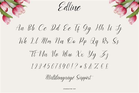 Edline Modern Calligraphy Script Font Free Download R2rdownload