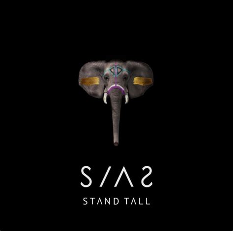 Stand Tall By Sias Stand Tall R B Songs