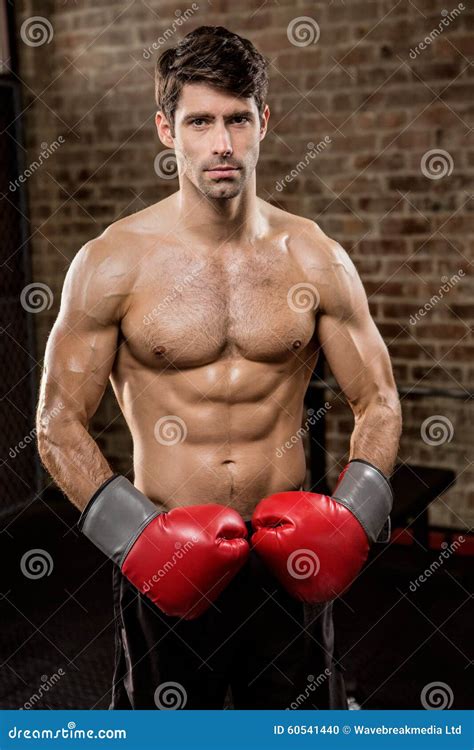 Portrait Of A Shirtless Man Wearing Boxing Gloves Stock Photo Image