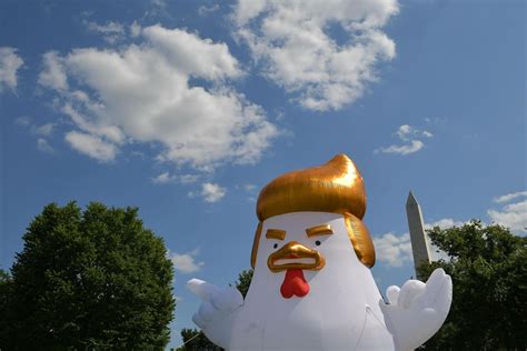 Giant Inflatable Trump Chicken Takes Up Spot Near White House London Evening Standard