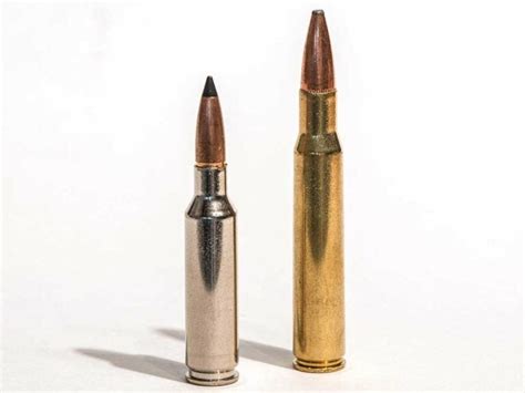 Is The 65 Creedmoor The New King Of Cartridges Field And Stream