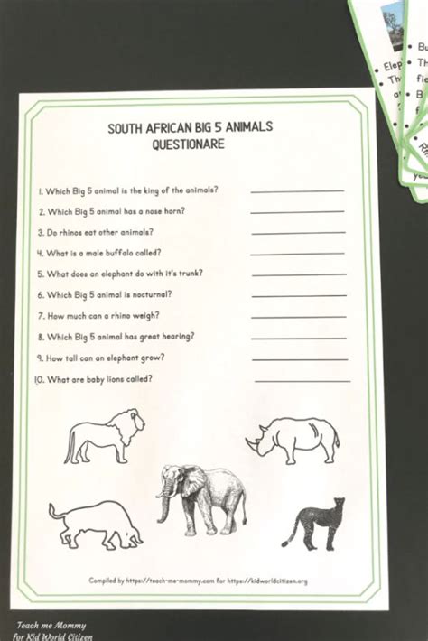 Learn About South African Big 5 Animals Kid World Citizen In 2020