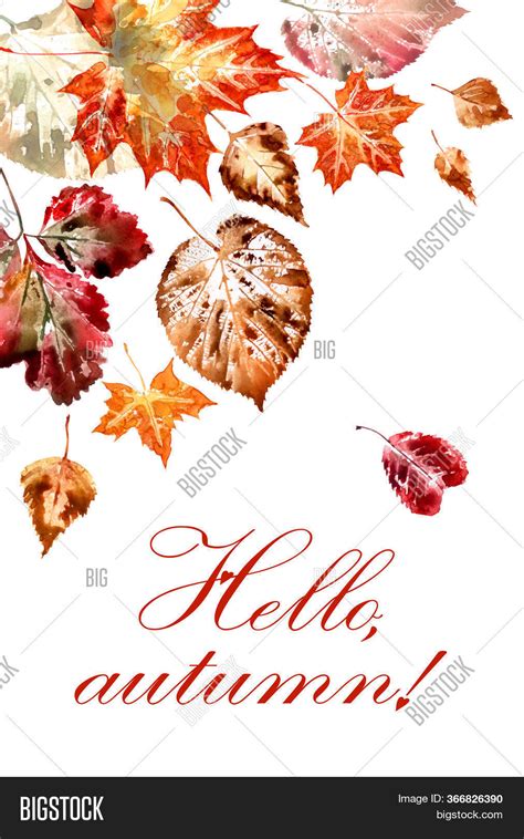 Greeting Card Autumn Image And Photo Free Trial Bigstock