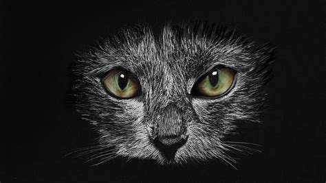 Cat Eyes Drawing Cool Art Awesome Art Robert Owl Bird Cats