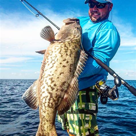 Southwest Florida Nearshore Fishing Charters Capt Jay Withers