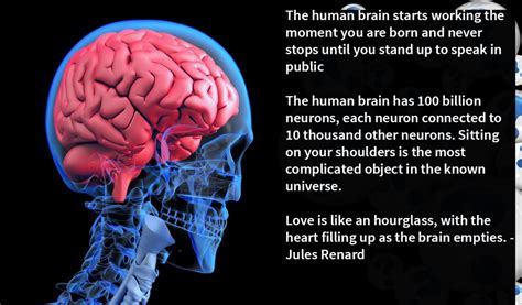 55 Top Amazing Brain Quotes Funny