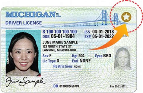 What Is The Michigan Enhanced Drivers License Edl