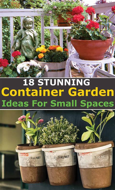 18 Stunning Container Gardening Ideas For Small Spaces Hort Zone