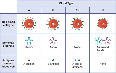 Hypersensitivities · Microbiology